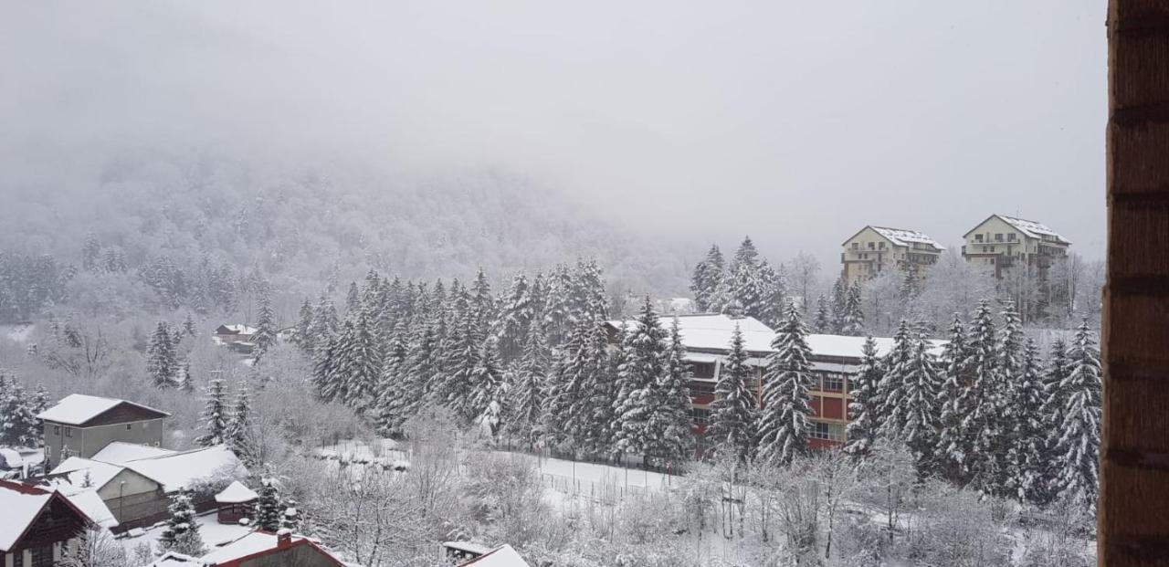 Elite Apartments Sinaia Exteriér fotografie