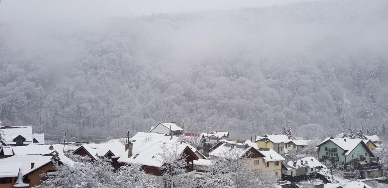 Elite Apartments Sinaia Exteriér fotografie