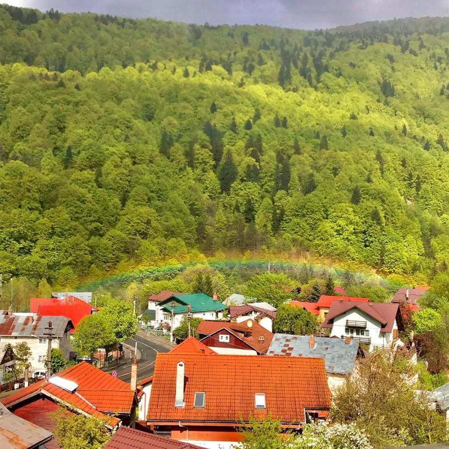 Elite Apartments Sinaia Exteriér fotografie